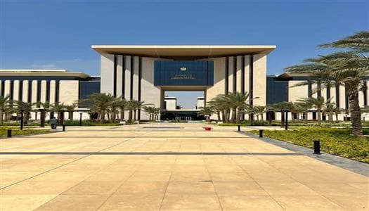 الخارجية تحذر المصريين من القنوات غير الرسمية وتوجههم لطلب المساعدة القنصلية عبر السفارات