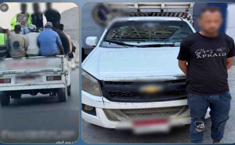 الداخلية تضبط سائق ربع نقل عرض حياة المواطنين للخطر في المقطم